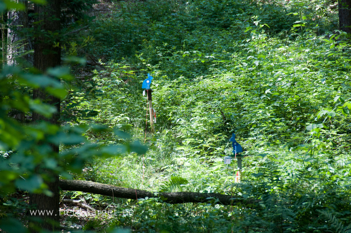 Targets - The hit zones shall be circular and of a contrasting colour to the faceplate.